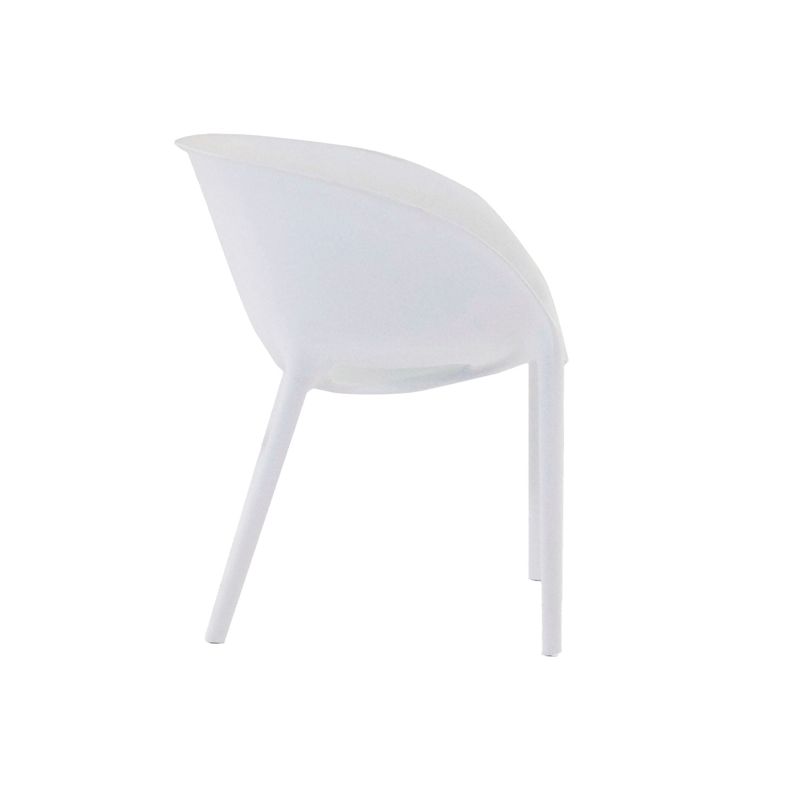 Design Warehouse - 124521 - Curve Cafe Dining Chair (White)  - White