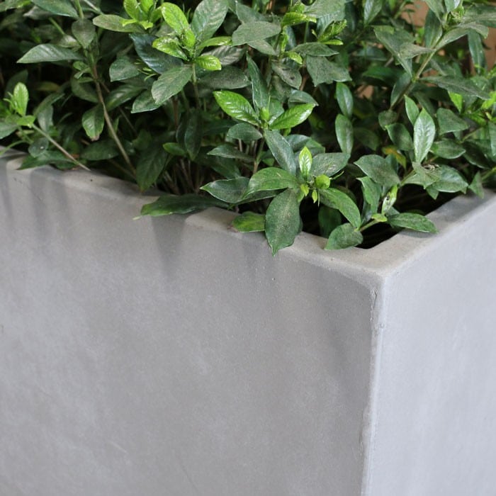 Raw Concrete Rectangular Planter