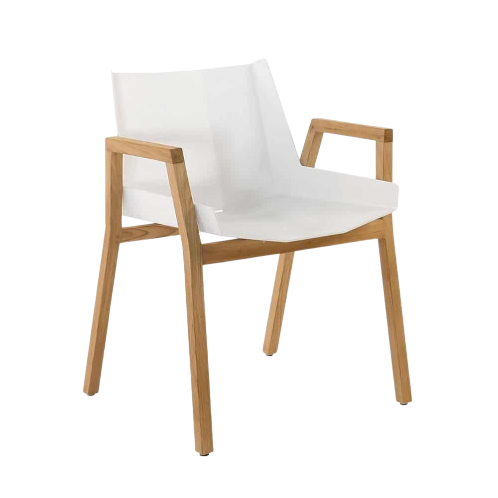 Design Warehouse - Elements Dining Arm Chair 42031565570347- cc