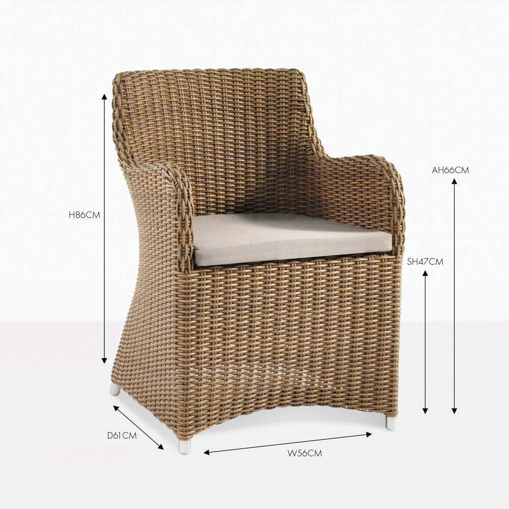 Design Warehouse - 124412 - Moni Wicker Dining Chair  - Sampulut