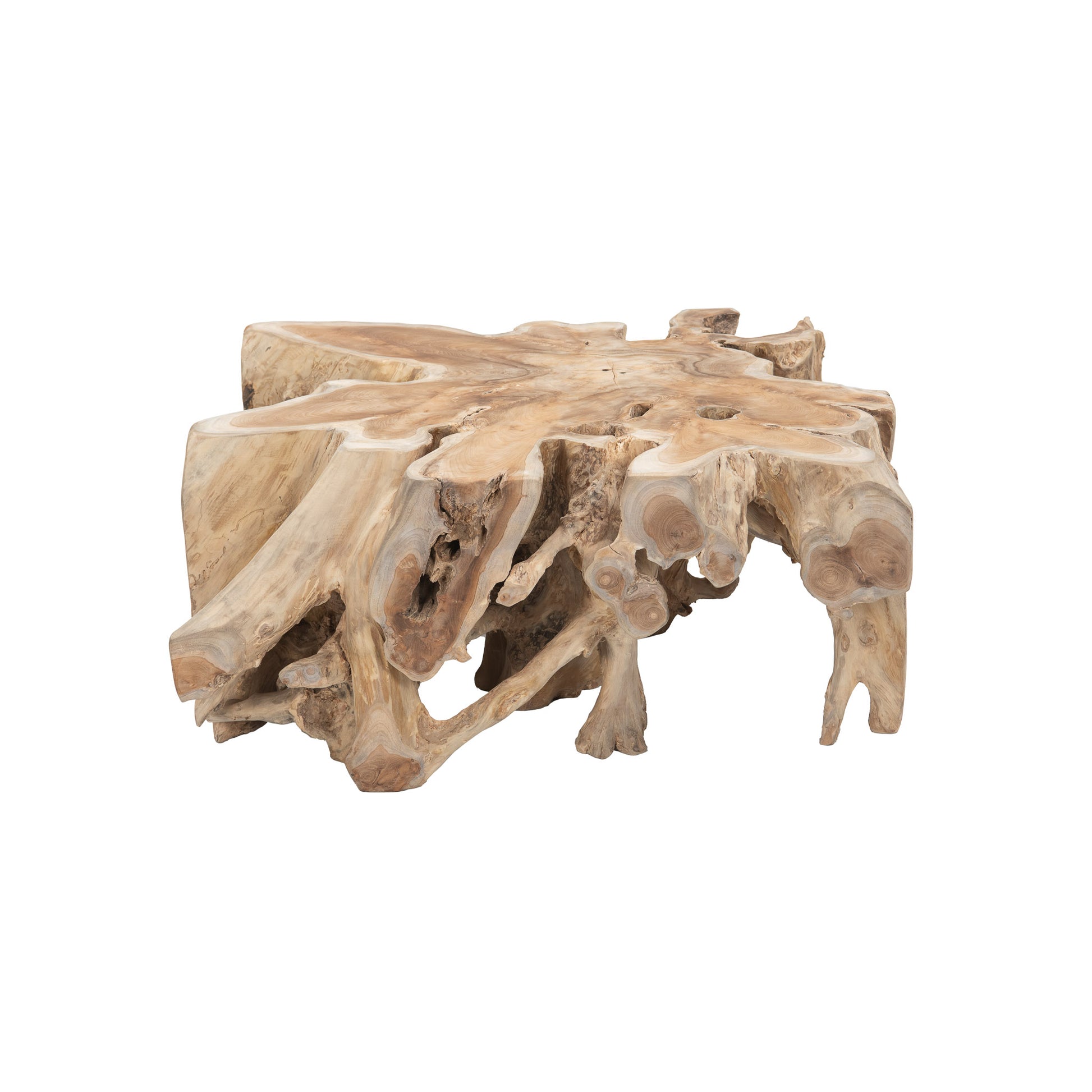 Root Reclaimed Teak Console Table handcrafted from natural teak root, front angle view.
