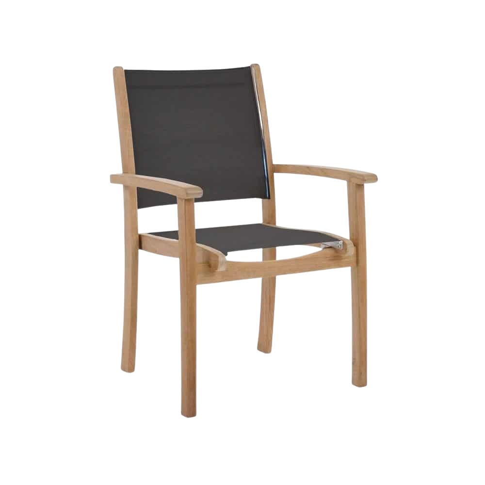 Design Warehouse - 124182 - Tango Teak Chair  - Black cc