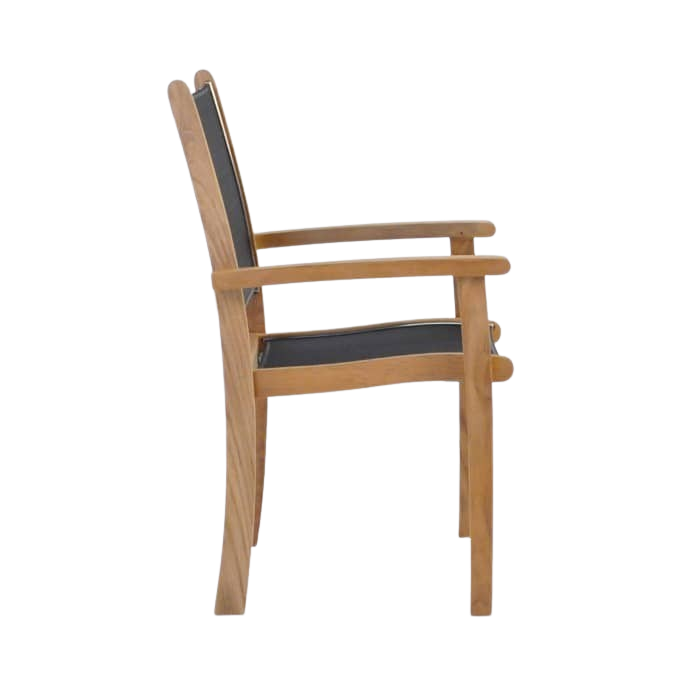 Design Warehouse - 124182 - Tango Teak Chair  - Black cc